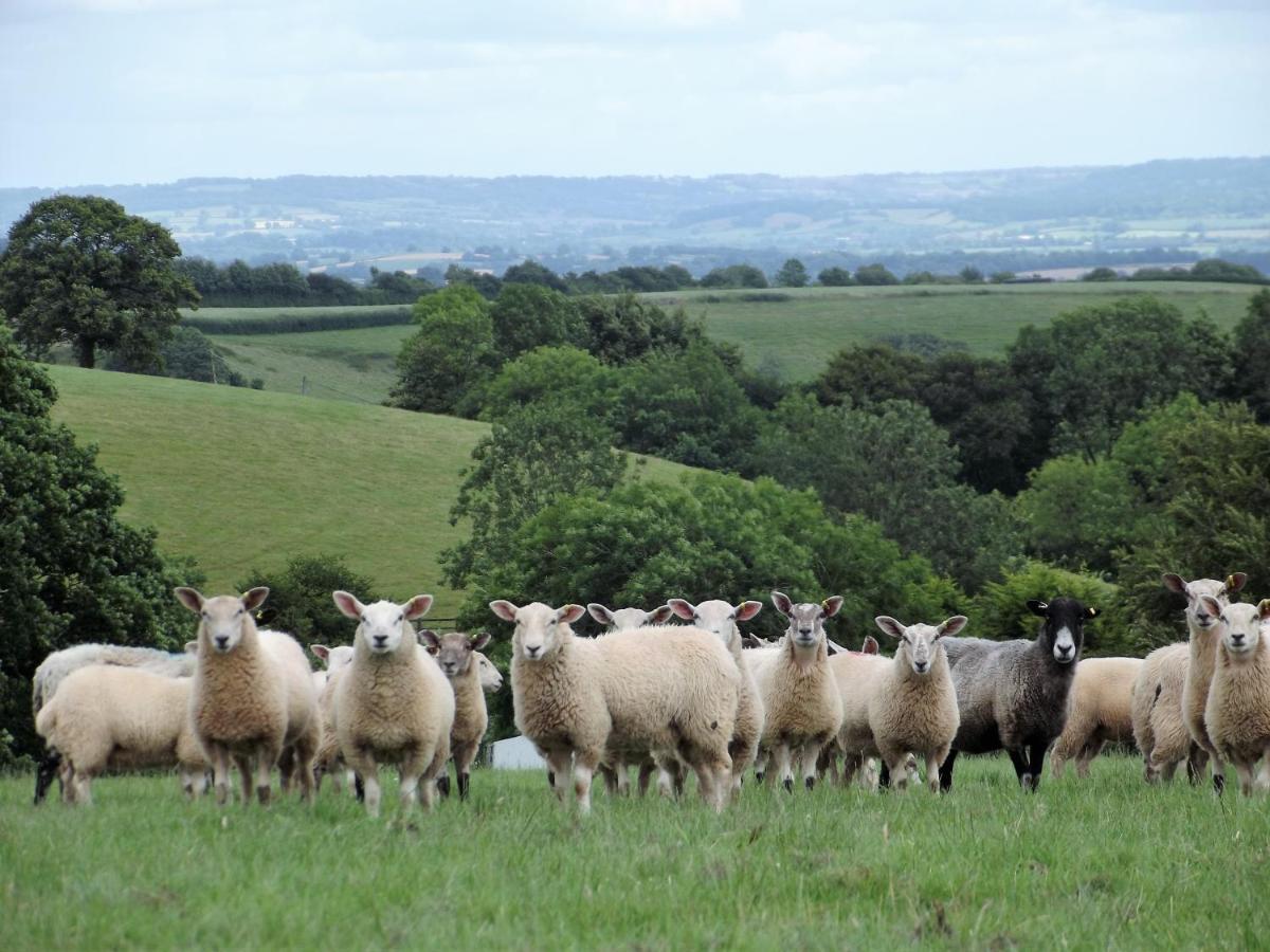 Deepaller Farm Tiverton  Esterno foto